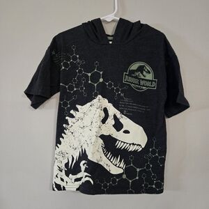 Kids Jurassic World Short Sleeve Charcoal And Green Hoodie And Shorts Outfit